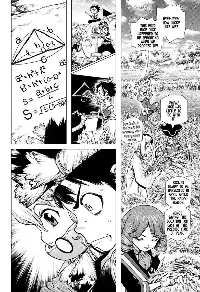 Dr. Stone Chapter 211 11